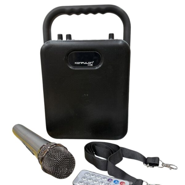 Multifunctional outdoor portable audio