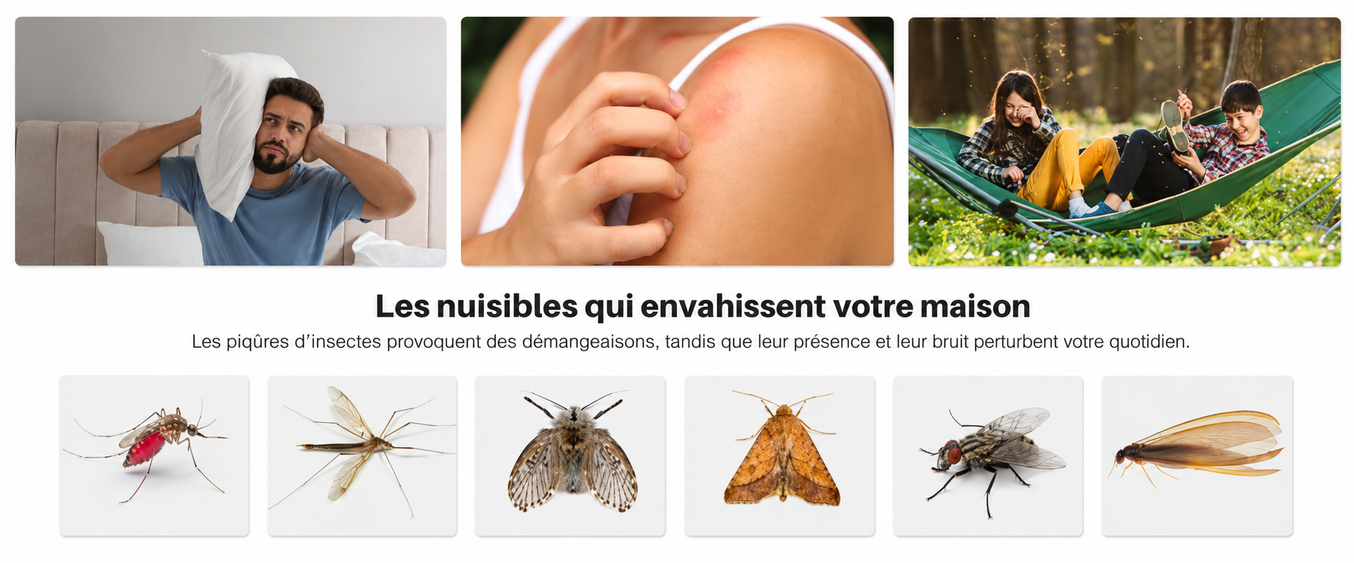 Raquette électrique anti-mouches portable